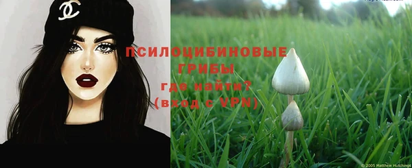бошки Арсеньев