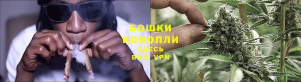 шишки Армянск