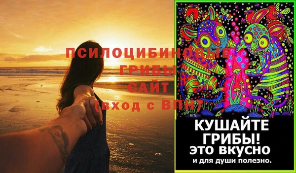 шишки Армянск
