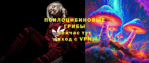 шишки Армянск